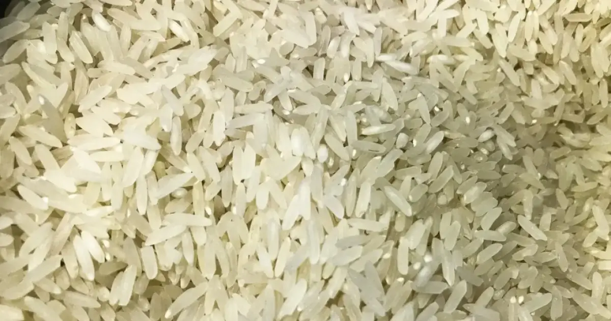 RS anuncia fim da colheita de arroz e diz que não há motivo para importação