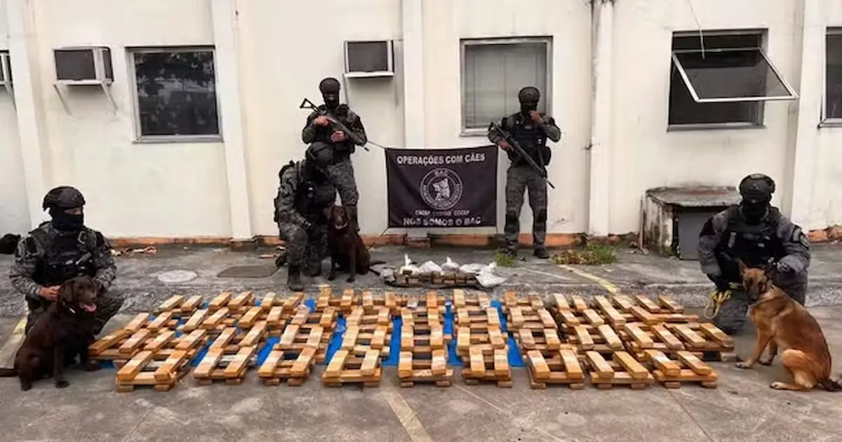 Polícia Militar apreende uma tonelada de maconha em escola