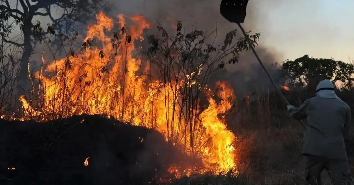 Focos de queimadas no Brasil se mantêm estáveis nas últimas 24 horas