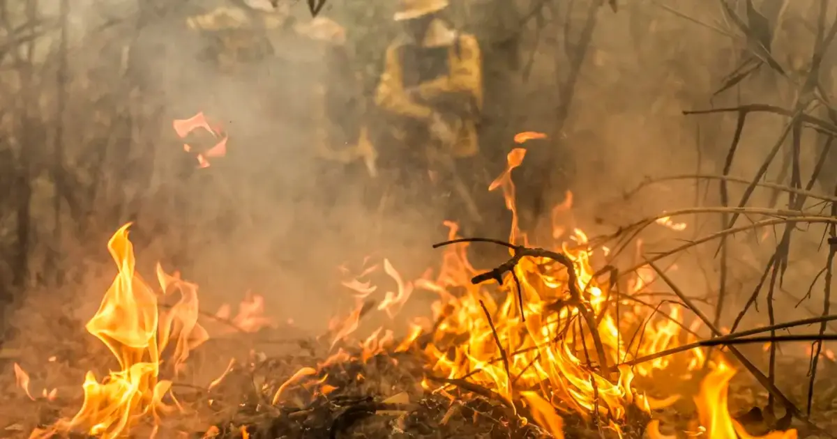 Incêndios na amazônia e no pantanal disparam emissões de carbono do Brasil