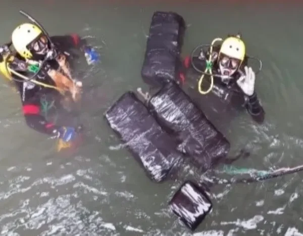 Carga de cocaína é apreendida em navio mercante no porto de Santos