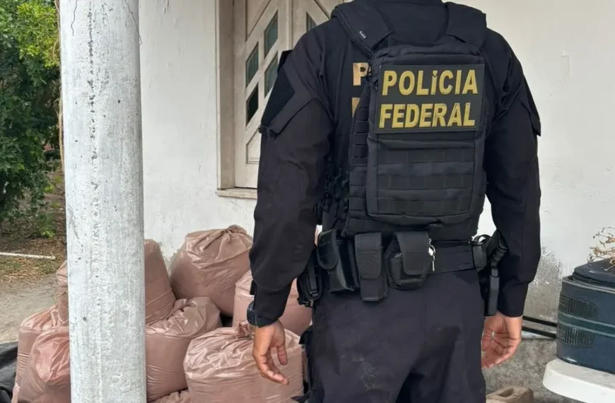 PF deflagra operação na Bahia contra tráfico internacional de substância usada em bebida do Daime