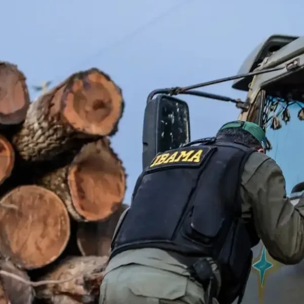 Programa do Ibama para converter multas de R$ 30 bi em recuperação ambiental trava em burocracias