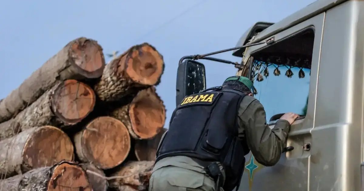 Programa do Ibama para converter multas de R$ 30 bi em recuperação ambiental trava em burocracias