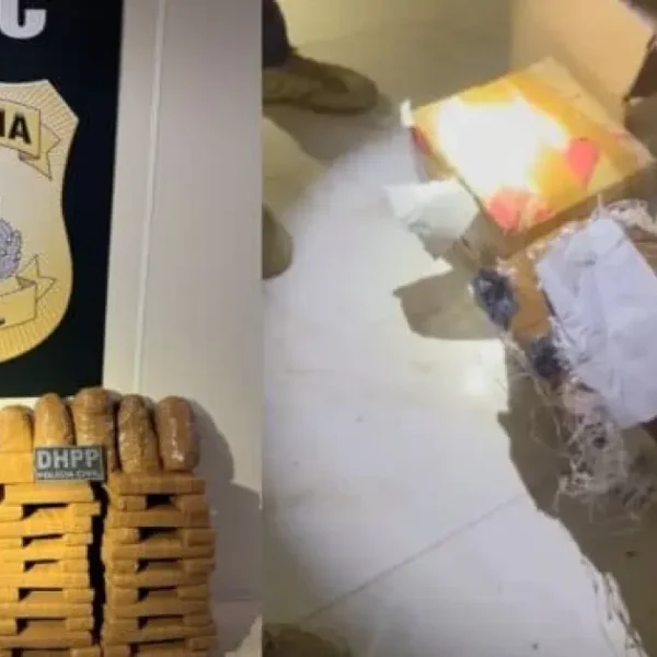 Polícia Civil apreende mais de 130 kg de maconha mantidos em depósito de facção criminosa em Feira de Santana