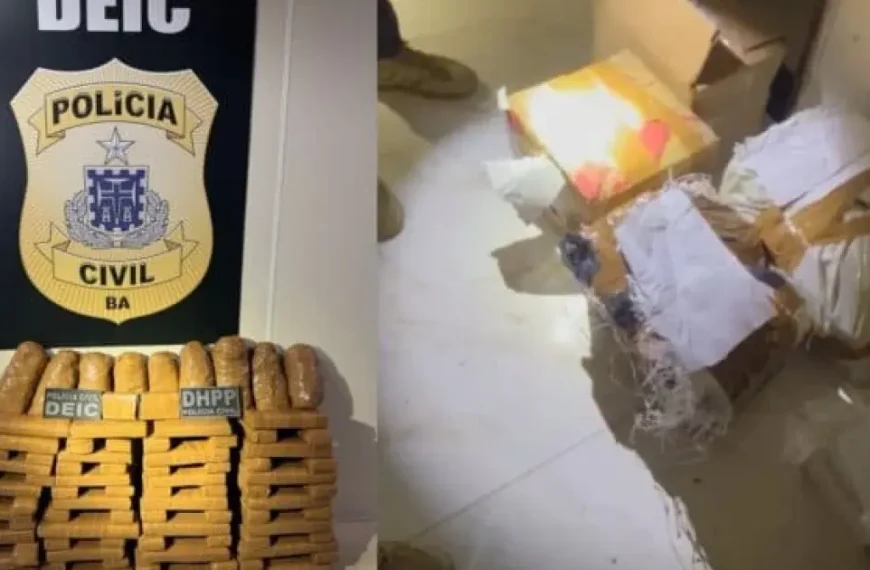 Polícia Civil apreende mais de 130 kg de maconha mantidos em depósito de facção criminosa em Feira de Santana