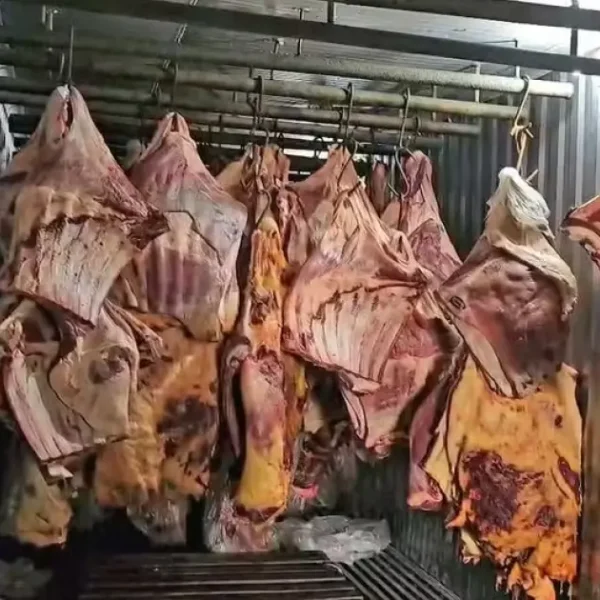 Empresa fluminense é investigada por revender carne estragada em enchentes no RS