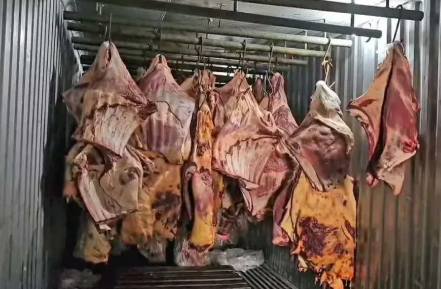 Empresa fluminense é investigada por revender carne estragada em enchentes no RS