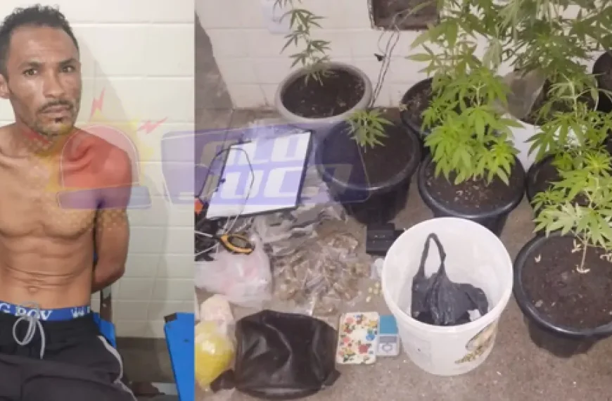 PM encontra laboratório de drogas e prende homem em flagrante em Lauro de Freitas