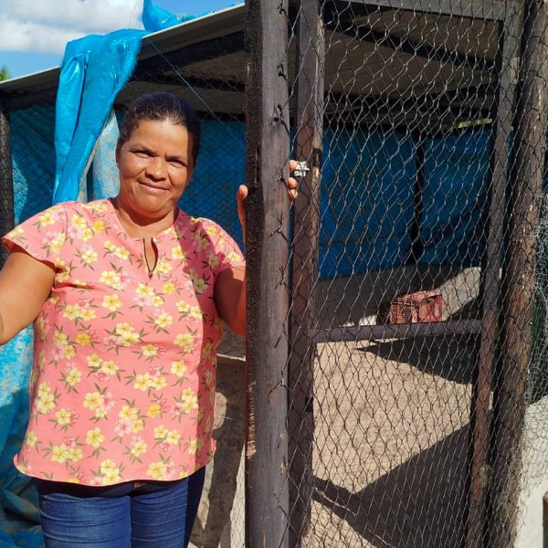 Agricultores de Alagoinhas recebem viveiros de galinhas e impulsionam a produção rural