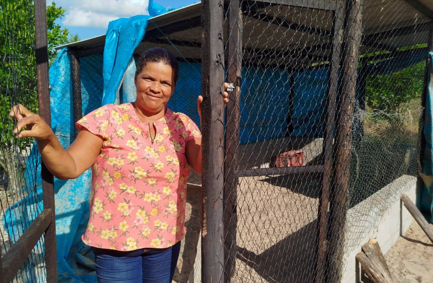 Agricultores de Alagoinhas recebem viveiros de galinhas e impulsionam a produção rural