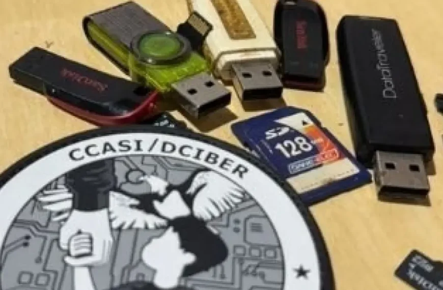 Mais de 20 pessoas são presas em flagrante durante Operação Proteção Integral II contra crimes sexuais na internet