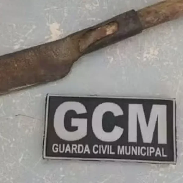 Homem é preso em Luís Eduardo Magalhães após ameaçar duas adolescentes com uma foice