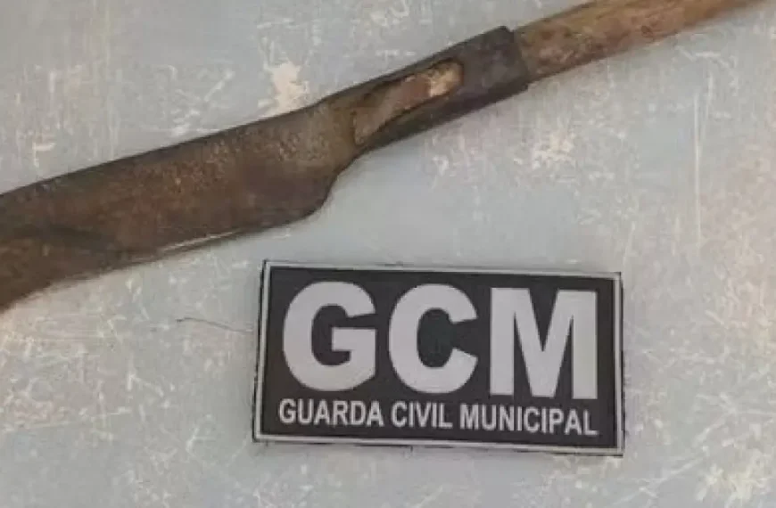 Homem é preso em Luís Eduardo Magalhães após ameaçar duas adolescentes com uma foice