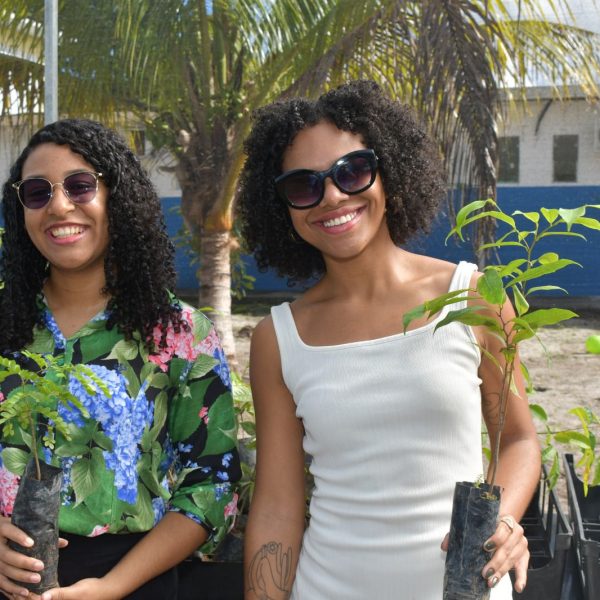 Prefeitura inaugura viveiro de mudas para futura arborização da cidade
