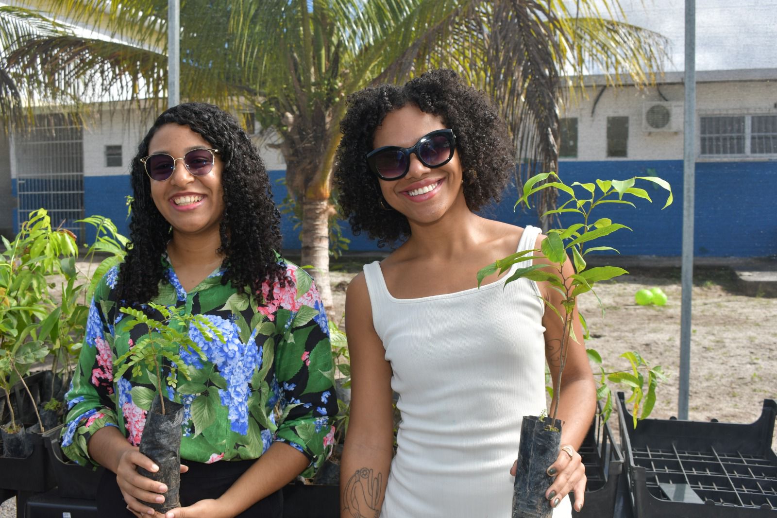 Prefeitura inaugura viveiro de mudas para futura arborização da cidade