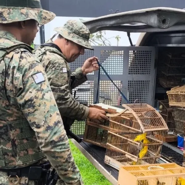 Polícia resgata 150 aves silvestres mantidas em cativeiro ilegal em Feira de Santana