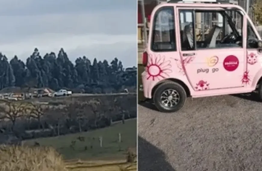 Duas pessoas morrem em acidente envolvendo um carrinho elétrico em parque no RS