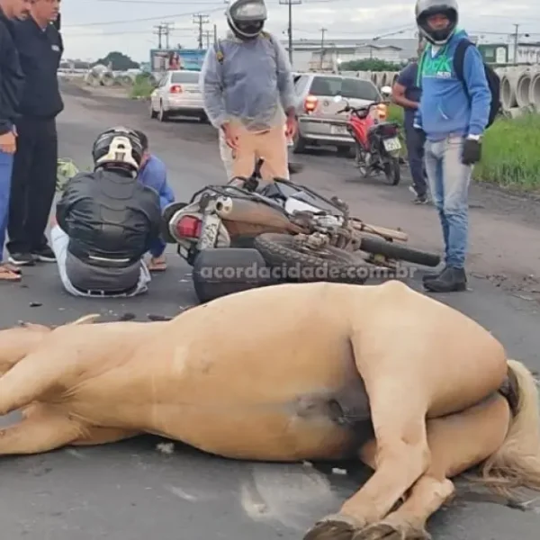 Motociclista fica ferido após colisão com cavalo em Anel de Contorno de Feira; animal não resistiu
