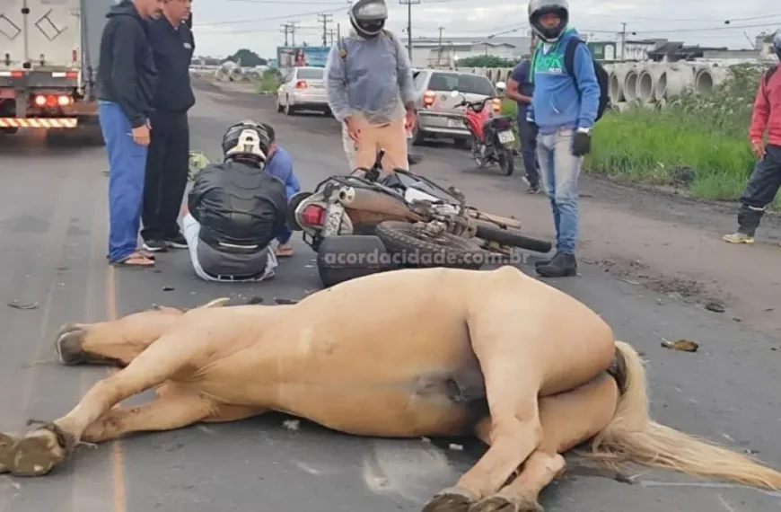 Motociclista fica ferido após colisão com cavalo em Anel de Contorno de Feira; animal não resistiu