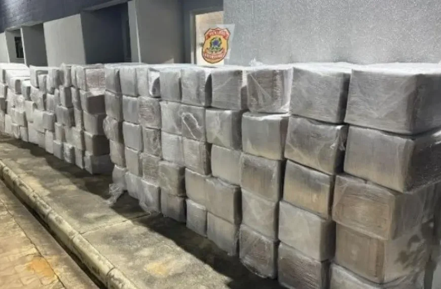 PF deflagra operação contra quadrilha após apreensão recorde em Poções