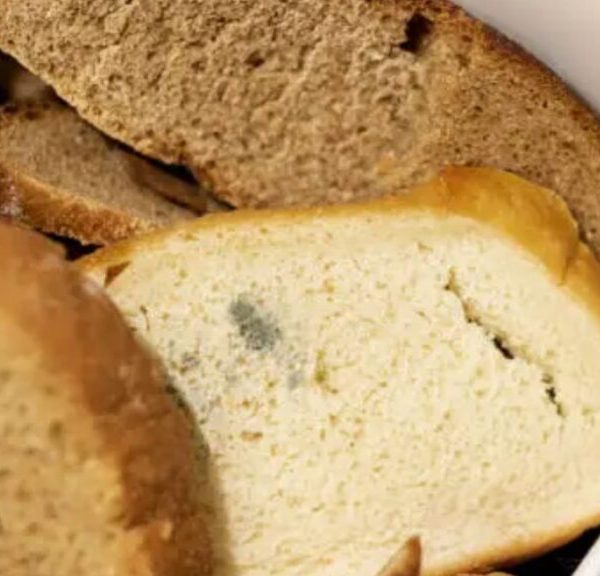 VENENO NO PÃO: adolescente de 15 anos tenta matar a mãe em Itabuna