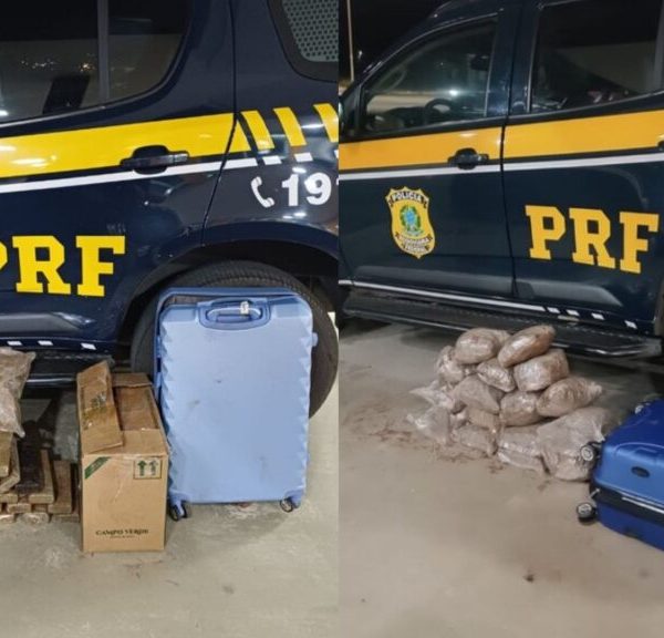 MAIS DE 100 KG: PRF faz apreensão de maconha durante fiscalização na BR-116