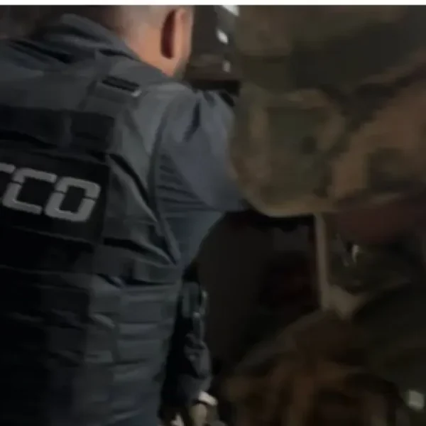 Operação Fauna Protegida desarticula maior rede de tráfico de aves silvestres do Brasil em ação em três estados