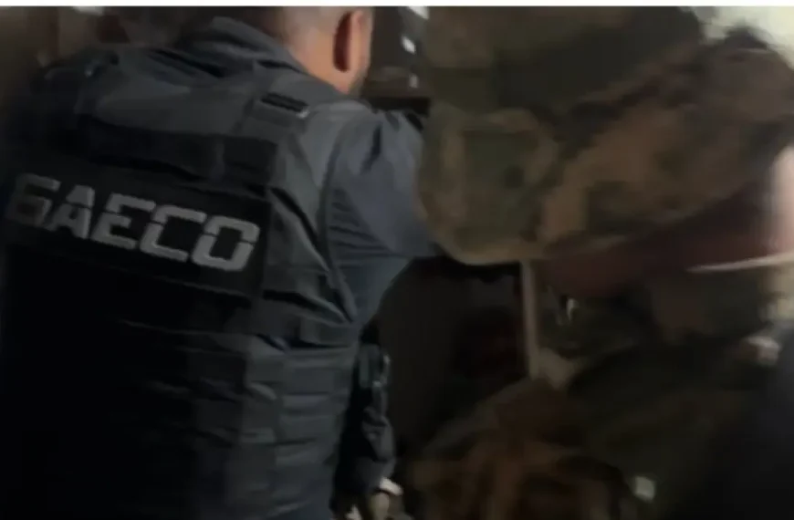 Operação Fauna Protegida desarticula maior rede de tráfico de aves silvestres do Brasil em ação em três estados