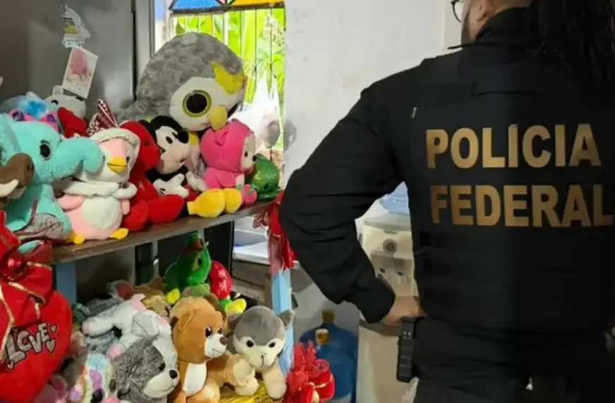 Polícia Federal deflagra Operação Proteção Integral III contra exploração sexual infantil na internet