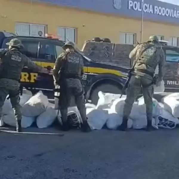 Ação conjunta apreende quase 800 kg de maconha após caminhão fugir de bloqueio no Norte baiano