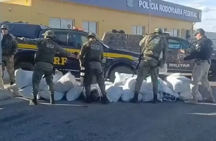 Ação conjunta apreende quase 800 kg de maconha após caminhão fugir de bloqueio no Norte baiano
