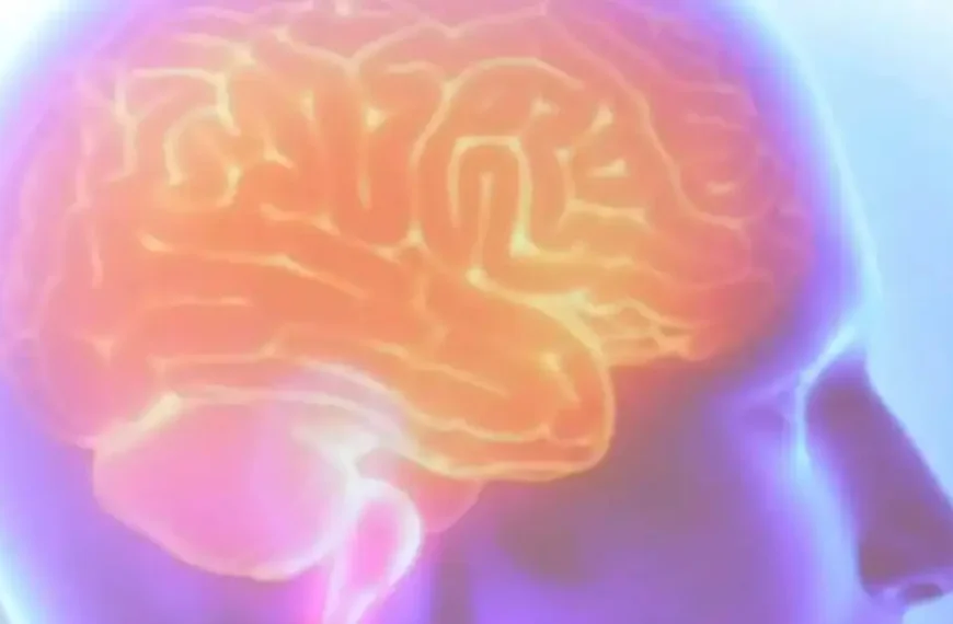 AVC silencioso é 10 vezes mais comum do que os sintomáticos e pode causar demência progressiva