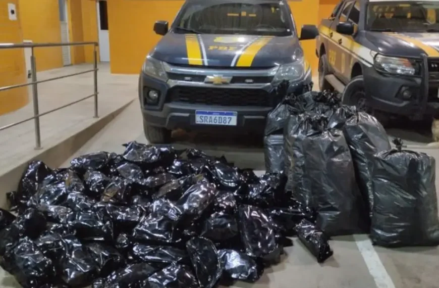 PRF apreende 109 kg de maconha em Simões Filho e prende dois motoristas; um dos carros funcionava como “batedor”