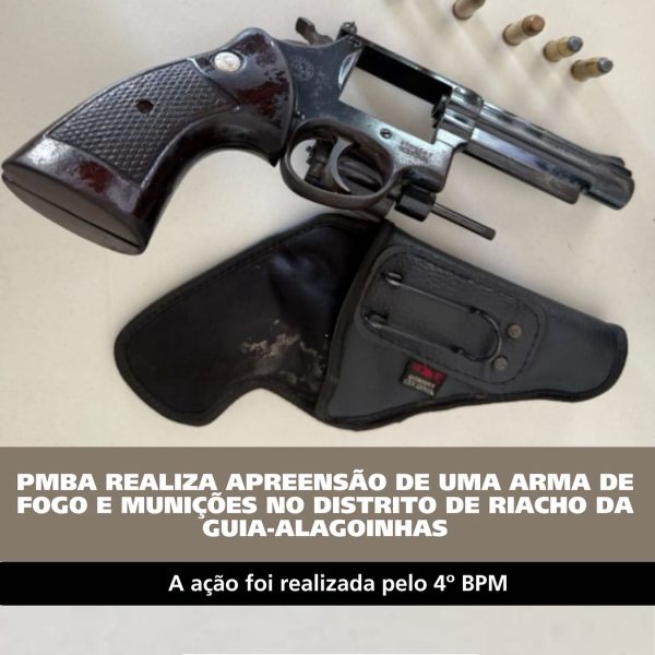 Polícia Militar apreende arma de fogo e munições em Riacho da Guia, Alagoinhas