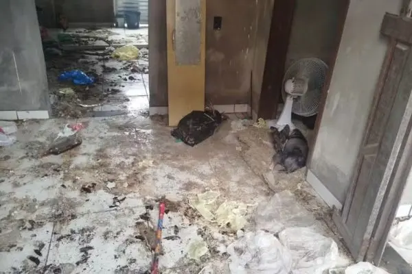 MAUS-TRATOS: homem é preso por crime contra animais em Feira de Santana