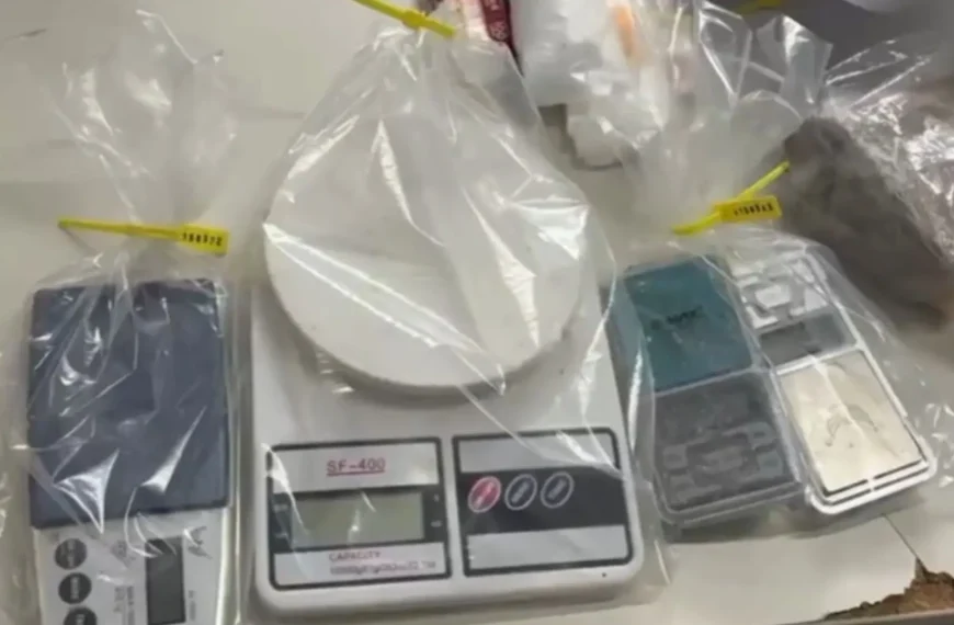 Polícia Civil apreende grande carga de drogas e prende suspeito no interior da Bahia