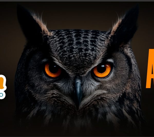 Rede Compre Bem da dor de cabeça na concorrência com novo mistério nas redes sociais