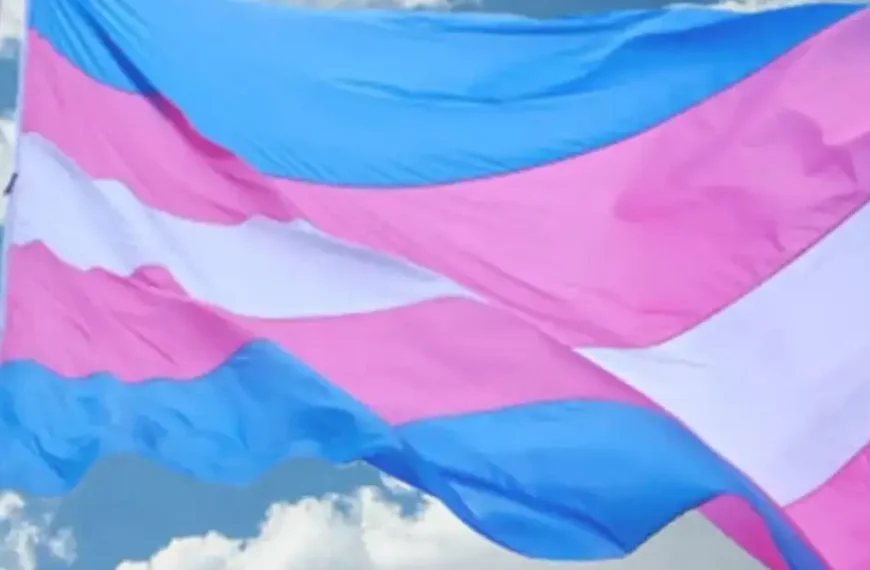Preconceito contra pessoas trans dificulta rastreio e tratamento de câncer
