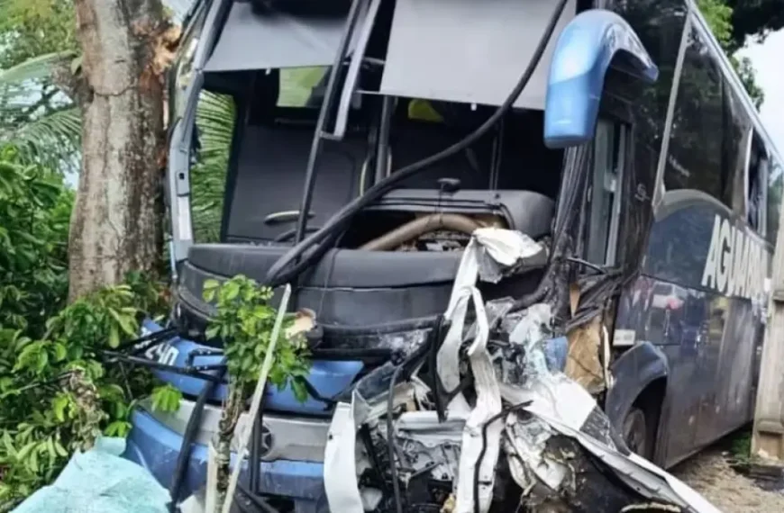 Acidente entre ônibus e pick-up deixa empresário morto e três feridos no Sul da Bahia