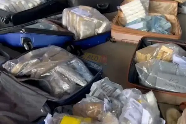 INCINERADOS: Operação “Natal Sem Drogas” destrói mais de 330 quilos de entorpecentes