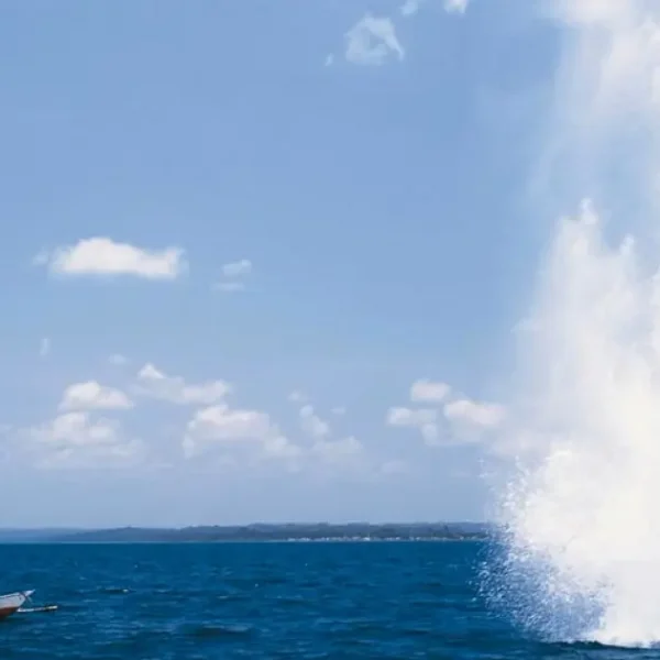 PF realiza operação contra pesca ilegal com explosivos na Baía de Todos-os-Santos