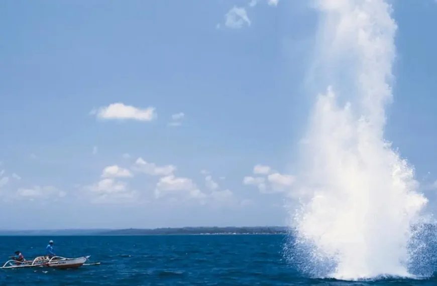 PF realiza operação contra pesca ilegal com explosivos na Baía de Todos-os-Santos