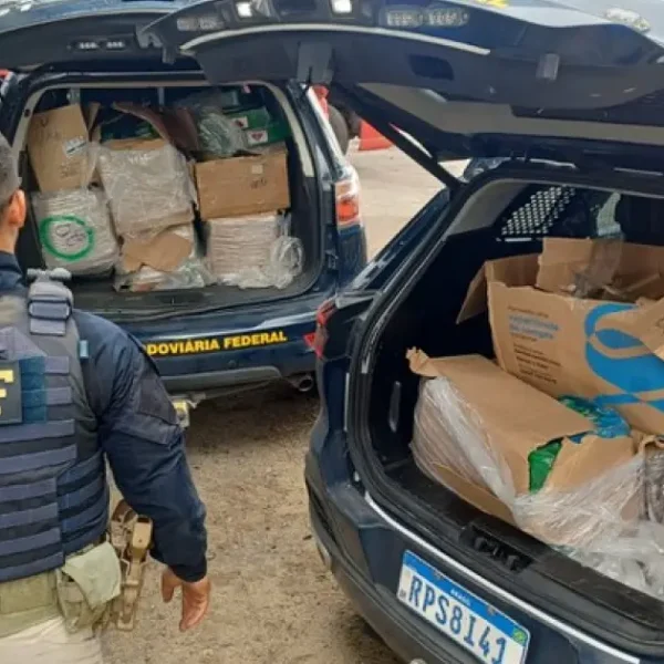 Ação apreende mais de 330 kg de drogas escondidas em caminhão que passava por Feira de Santana