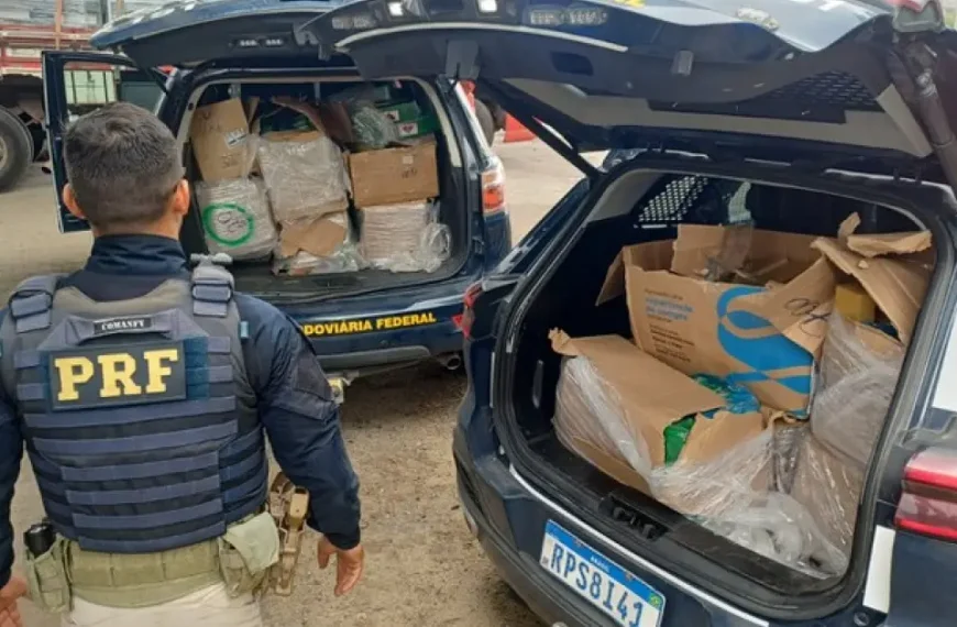 Ação apreende mais de 330 kg de drogas escondidas em caminhão que passava por Feira de Santana