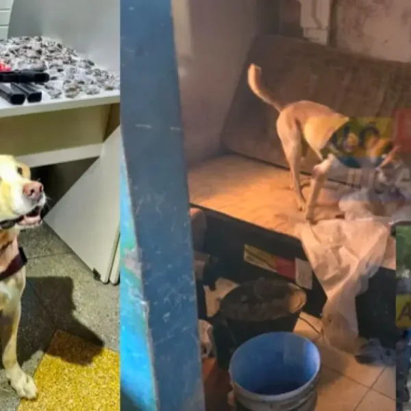 Trio é preso em “boca de fumo” durante operação policial em Águas Claras