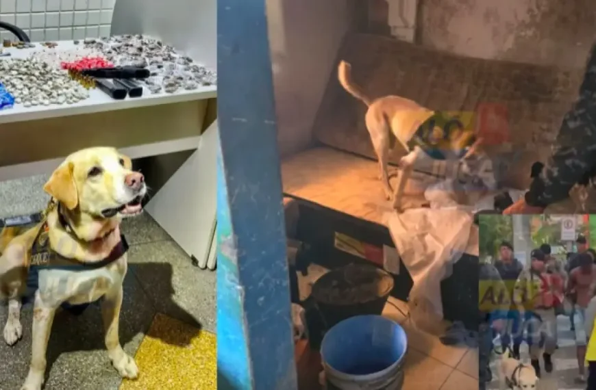 Trio é preso em “boca de fumo” durante operação policial em Águas Claras