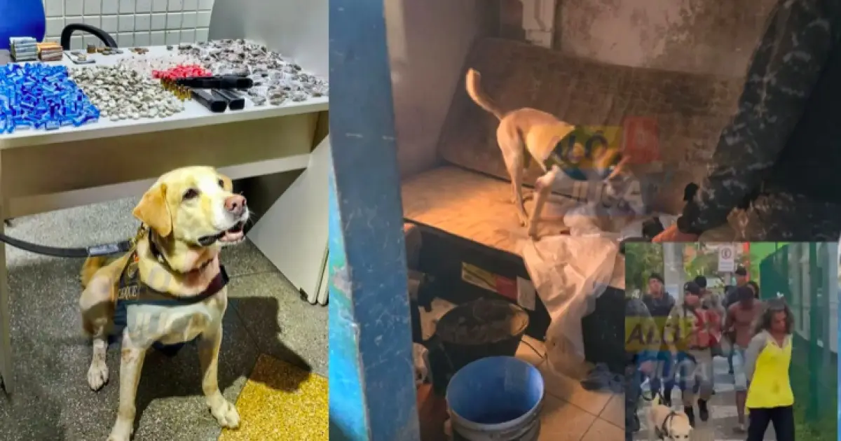 Trio é preso em “boca de fumo” durante operação policial em Águas Claras