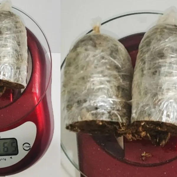 NAS PARTES ÍNTIMAS: mulher é presa tentando entrar com maconha no Conjunto Penal de Eunápolis