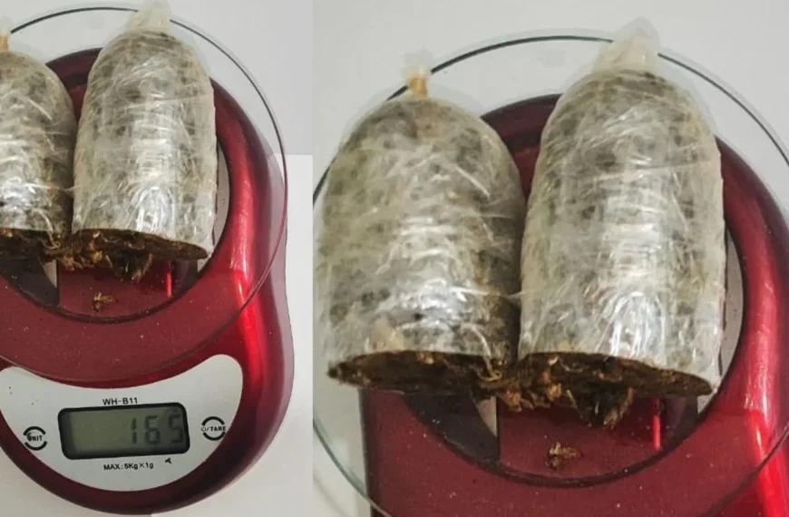 NAS PARTES ÍNTIMAS: mulher é presa tentando entrar com maconha no Conjunto Penal de Eunápolis